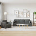 Set de canapea 2 pcs Gri închis 228 x 78 x 80 cm Catifea - WALTI WALTI