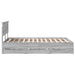Cadru de pat cu sertar Gri Sonoma 120 x 190 cm Lemn Ingineresc - WALTI WALTI