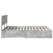 Cadru de pat cu sertar Gri din beton 140 x 200 cm Lemn compozit - WALTI WALTI