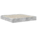 Pat cu storage Gri din beton 200 x 200 cm Lemn compozit - WALTI WALTI