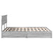 Pat cu storage cu sertar Gri Sonoma 160 x 200 cm Lemn compozit - WALTI WALTI