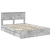 Pat cu storage Gri din beton 150 x 200 cm Lemn compozit - WALTI WALTI