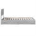 Pat cu storage cu sertar Gri Sonoma 75 x 190 cm Lemn compozit - WALTI WALTI