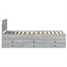Daybed cu sertar Gri Sonoma și negru 100 x 200 cm Lemn compozit - WALTI WALTI