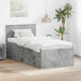 Daybed cu sertar Gri beton și negru 75 x 190 cm Lemn compozit - WALTI WALTI