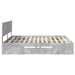 Cadru de pat Gri din beton 200 x 200 cm Lemn compozit - WALTI WALTI