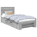 Cadru de pat cu headboard Gri Sonoma 100 x 200 m Lemn compozit - WALTI WALTI