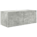 Gri din beton 78,5 x 30 x 29,5 cm - WALTI WALTI