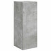 Gri din beton 78,5 x 30 x 29,5 cm - WALTI WALTI