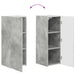 Gri din beton 78,5 x 30 x 29,5 cm - WALTI WALTI