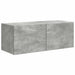 Set comodă TV Pe perete 3 pcs Gri din beton Lemn compozit - WALTI WALTI