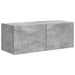 Set comodă TV Pe perete 2 pcs Gri din beton Lemn compozit - WALTI WALTI