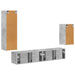 Set comodă TV Pe perete 3 pcs Gri din beton Lemn compozit - WALTI WALTI