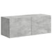Set comodă TV Pe perete 6 pcs Gri din beton Lemn compozit - WALTI WALTI