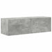 Set comodă TV Pe perete 5 pcs Gri din beton Lemn compozit - WALTI WALTI