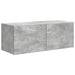4 pcs Gri din beton - WALTI WALTI