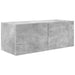 Cabinet TV 8 pcs Gri din beton - WALTI WALTI