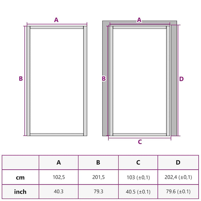 Ușă Interioară Neagră 76x201,5 cm din Sticlă Termoizolantă și Aluminiu Subțire - WALTI WALTI