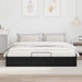 Cadru de pat otoman Stejar Negru 193 x 120 x 25 cm PAL - WALTI WALTI