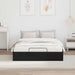 Cadru de pat otoman Stejar Negru 193 x 120 x 25 cm PAL - WALTI WALTI