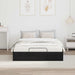 Cadru de pat otoman Stejar Negru 193 x 120 x 25 cm PAL - WALTI WALTI