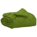 Pilotă de vară Verde 200 x 155 cm Microfibră - WALTI WALTI