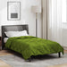 Duvet complet pe tot parcursul anului Verde 200 x 140 cm - WALTI WALTI