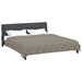 Duvet complet pe tot parcursul anului Gri deschis 220 x 200 cm - WALTI WALTI