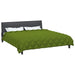 Duvet de iarnă Verde 220 x 260 cm Microfibră - WALTI WALTI