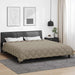 Duvet de iarnă Gri deschis 240 x 260 cm Microfibră - WALTI WALTI