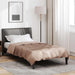 Duvet complet pe tot parcursul anului Auriu 200 x 155 cm - WALTI WALTI