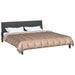 Duvet complet pe tot parcursul anului Auriu 220 x 200 cm - WALTI WALTI