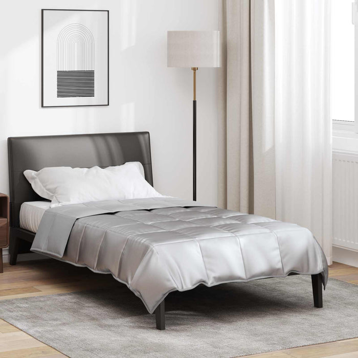 Duvet complet pe tot parcursul anului Argintiu 220 x 135 cm - WALTI WALTI