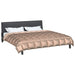 Duvet de iarnă Auriu 240 x 200 cm Satin și Microfibra - WALTI WALTI