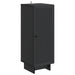 Dulap Negru 33 x 34,5 x 90 cm Lemn prelucrat - WALTI WALTI