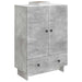 Bufet Gri Beton 66 x 34,5 x 95 cm Lemn prelucrat - WALTI WALTI