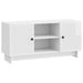 Cabinet TV Alb lucios 102 x 34,5 x 50 cm Lemn compozit - WALTI WALTI