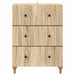 Dulap cu sertare Stejar Sonoma 66 x 34,5 x 90 cm Lemn prelucrat - WALTI WALTI