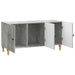Cabinet TV Gri Beton 99 x 34,5 x 50 cm Lemn prelucrat - WALTI WALTI