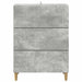 Dulap cu sertare Gri Beton 66 x 34,5 x 90 cm Lemn prelucrat - WALTI WALTI