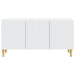 Cabinet TV Alb 99 x 34,5 x 50 cm Lemn prelucrat - WALTI WALTI