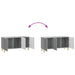 Cabinet TV Sonoma gri 99 x 34,5 x 50 cm Lemn prelucrat - WALTI WALTI