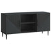 Cabinet TV Negru 102 x 34,5 x 50 cm Lemn prelucrat - WALTI WALTI