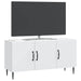 Cabinet TV Alb 99 x 34,5 x 50 cm Lemn prelucrat - WALTI WALTI