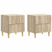 Noptieră 2 pcs Stejar Sonoma 43 x 34,5 x 48 cm Lemn prelucrat - WALTI WALTI