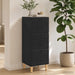 Dulap cu sertare Negru 33 x 34,5 x 90 cm Lemn prelucrat - WALTI WALTI