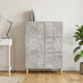 Bufet Gri Beton 66 x 34,5 x 90 cm Lemn prelucrat - WALTI WALTI