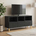 Cabinet TV 102 x 34,5 x 50 cm Negru Lemn prelucrat - WALTI WALTI