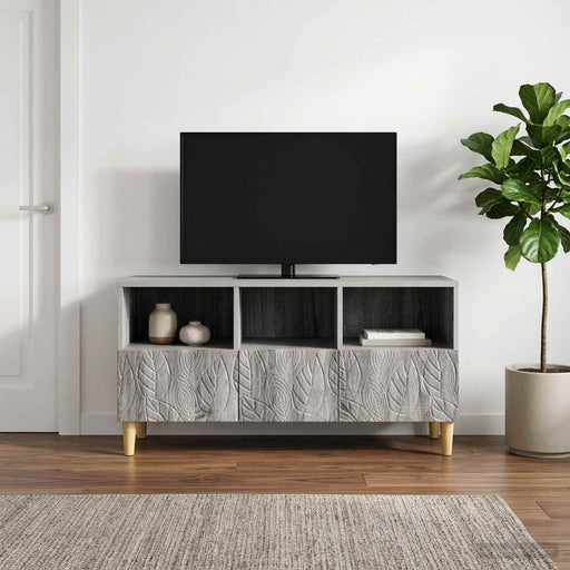 Cabinet TV 102 x 34,5 x 50 cm Sonoma gri Lemn prelucrat - WALTI WALTI