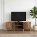 Cabinet TV 150 x 31 x 50 cm Lemn vechi Lemn prelucrat - WALTI WALTI